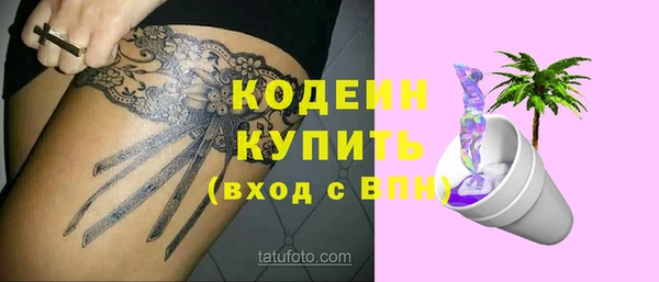 прущие грибы Бугульма