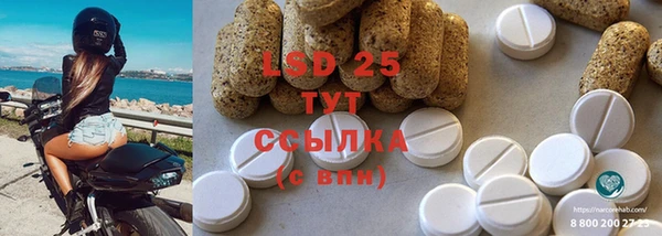 прущие грибы Бугульма