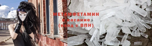 прущие грибы Бугульма