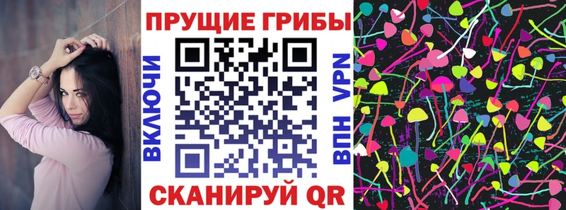 Галлюциногенные грибы Psilocybine cubensis ссылка на мегу маркетплейс Волжский